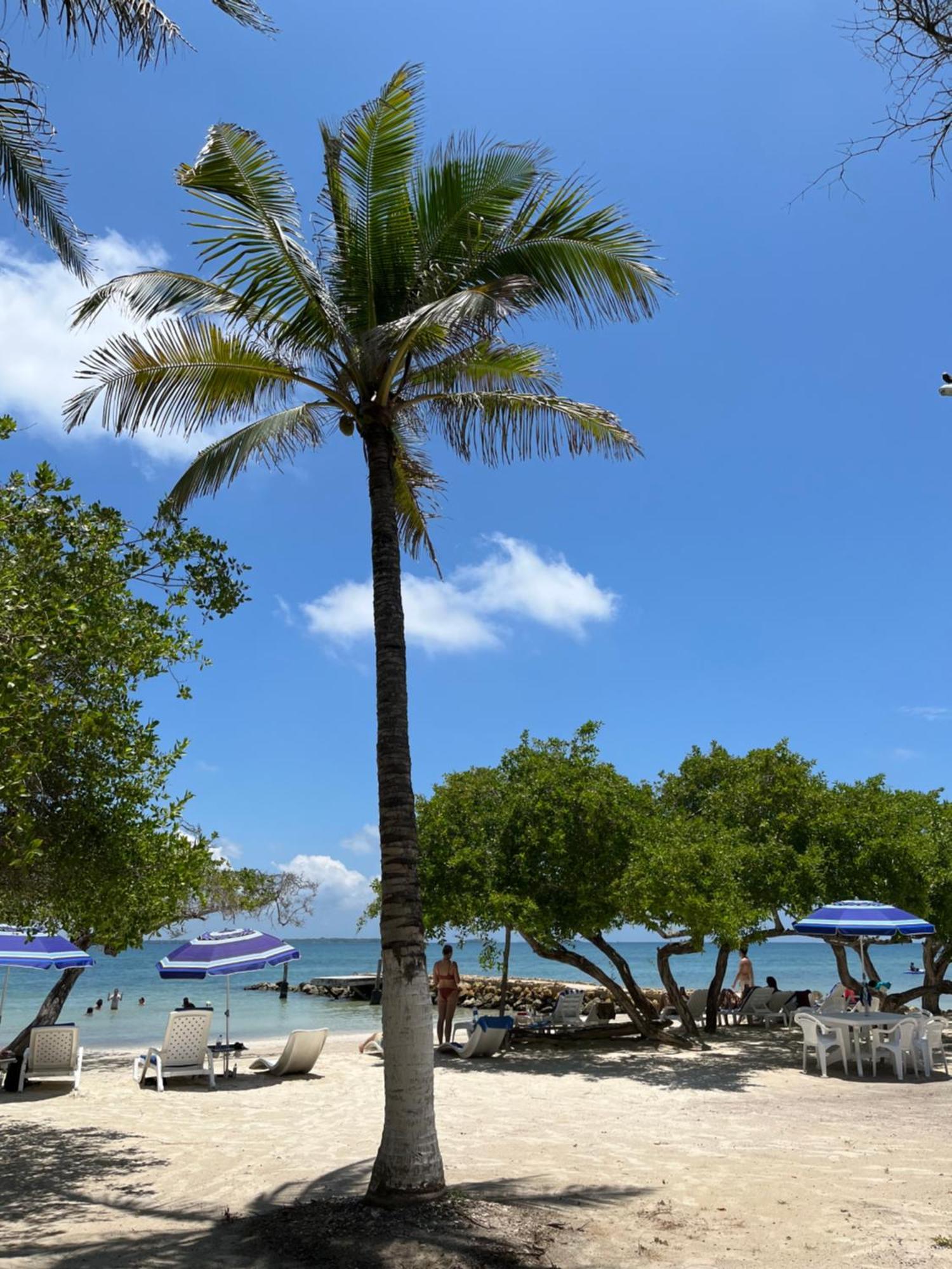 Carey Beach Barú Ngoại thất bức ảnh